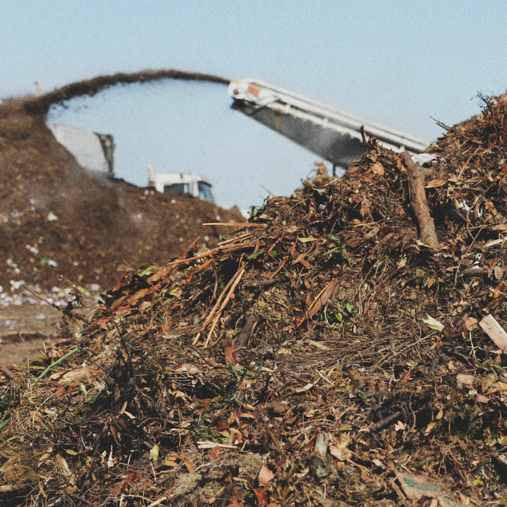 Biochar photo