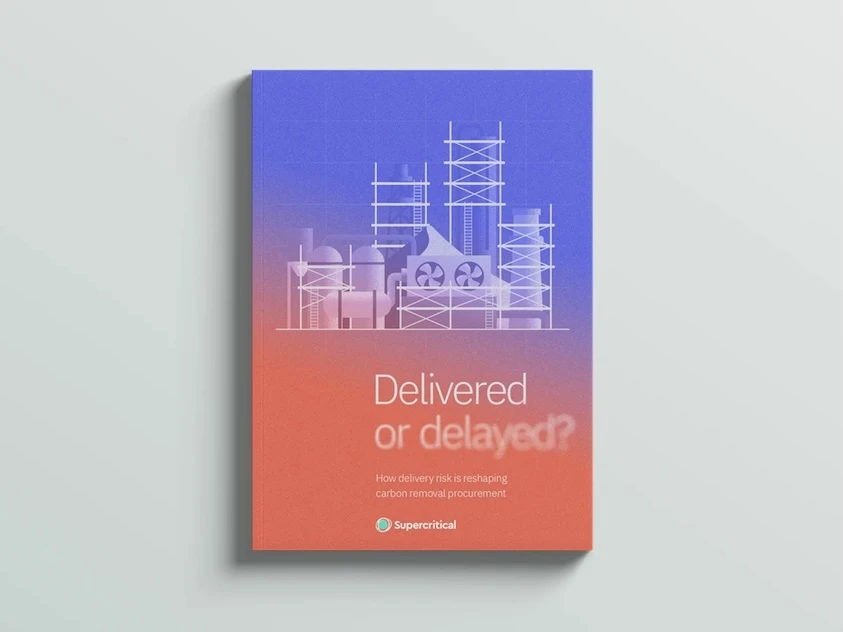 Delivery risk report